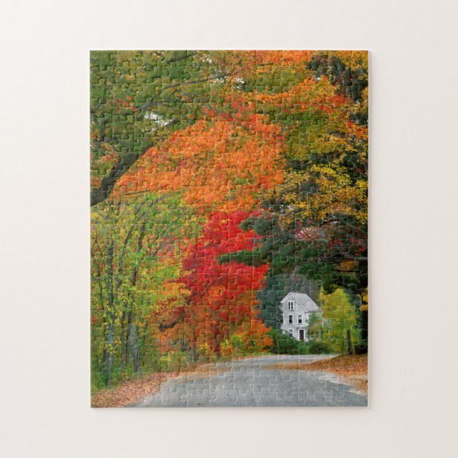 Puzzle Estados Unidos, Nueva Inglaterra, New Hampshire, A (Vertical)