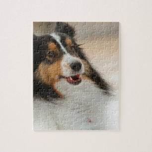 Puzzle Estafa feliz