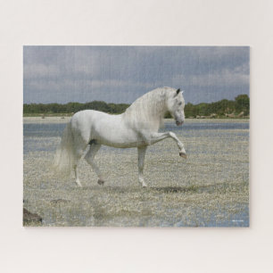 Puzzle Estallido gris andaluz parado en lago