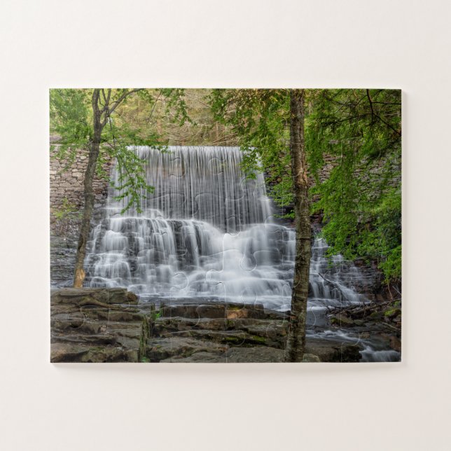 Puzzle Estametz Dam 11x14 fácil (Horizontal)