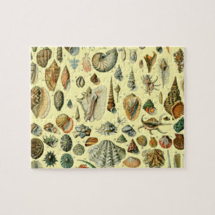Puzzle Estampa vintage de conchas marinas Adolphe Millot 