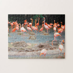 Puzzle Estanque de Flamencos Singapur.