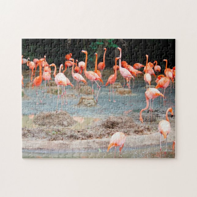 Puzzle Estanque de Flamencos Singapur. (Horizontal)