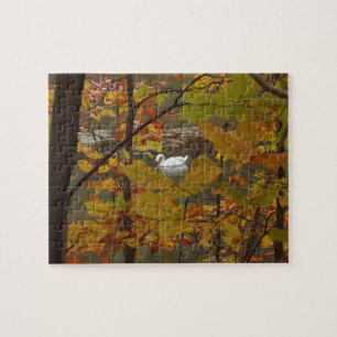 Puzzle Estanque de otoño con cisne