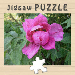 Puzzle Estética de floración rosa Foto -