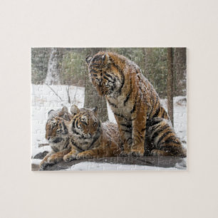 Puzzle Estirar el tigre