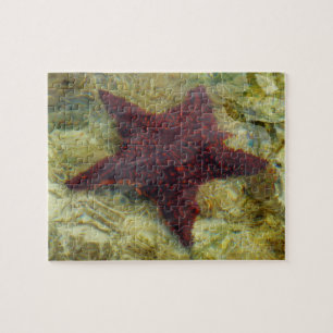 Puzzle Estrella de mar submarina en las Bahamas