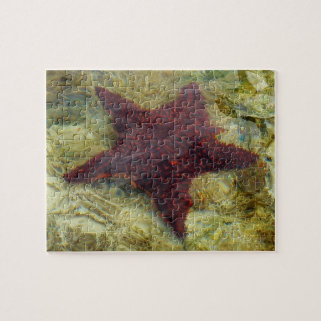 Puzzle Estrella de mar submarina en las Bahamas (Horizontal)