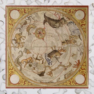 Puzzle Estrellas de constelaciones cielo del sur astronom