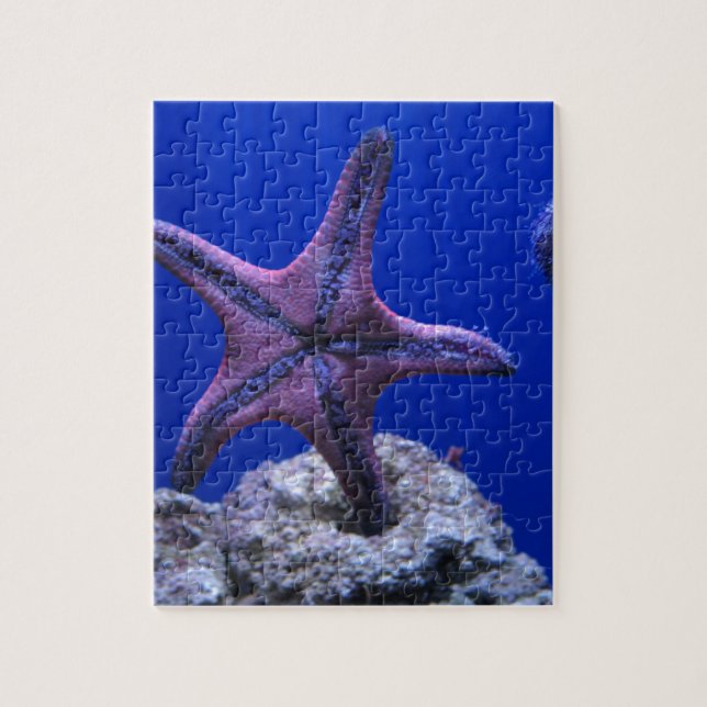 Puzzle ¡Estrellas de mar, estrella brillante! (Vertical)