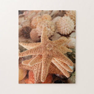 Puzzle Estrellas de mar secas vendidas como souvenirs