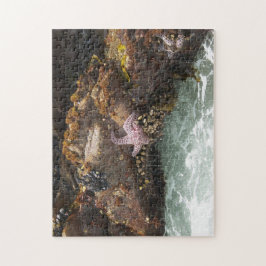 Puzzle Estrellas de mar Tidepool