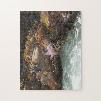 Puzzle Estrellas de mar Tidepool