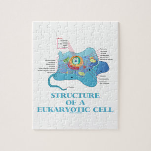 Puzzle Estructura de una célula eucariótica (eucariota)