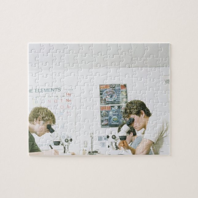 Puzzle Estudiantes con microscopios (Horizontal)