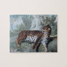 Estudio de un leopardo (por Jean-Baptiste Oudry)