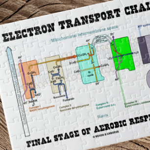 Puzzle Etapa Final De La Cadena De Transporte Electrónico