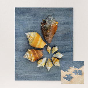 Puzzle Etapas de la vida