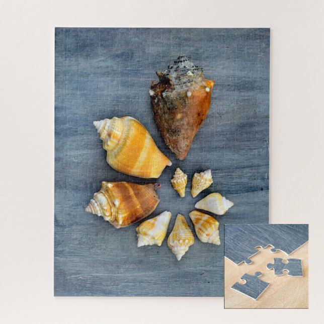 Puzzle Etapas de la vida (Subido por el creador)