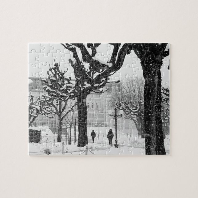 Puzzle Europa, Austria, Salzburgo. Invierno, (Horizontal)