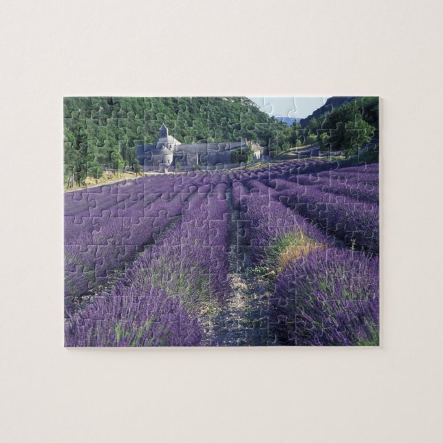 Puzzle Europa, Francia, Provenza. Campos de lavanda (Horizontal)