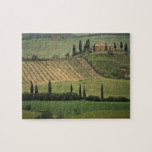 Puzzle Europa, Italia, Toscana, Val d'Orcia, Toscano