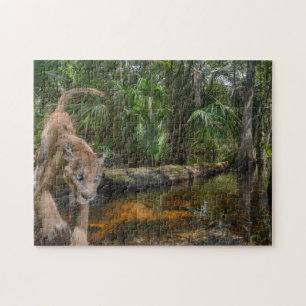 Puzzle Everglades Puma