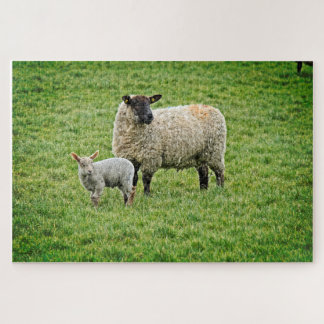 Puzzle Ewe y Lamb
