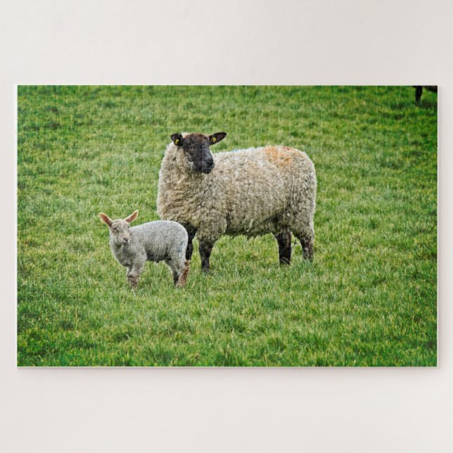 Puzzle Ewe y Lamb (Horizontal)