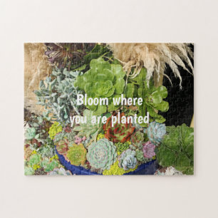 Puzzle Éxitos coloridos con hierba de plata