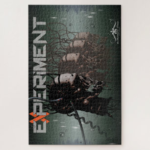 PUZZLE EXPERIMENTO