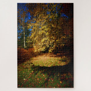 Puzzle Explosión de otoño en el paseo Stourhead.