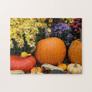 Puzzle Exposición de calabazas decorativas de otoño color