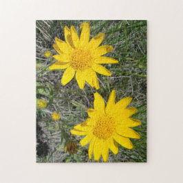 Puzzle F15 Flor Amarilla Silvestre Sneezeweed