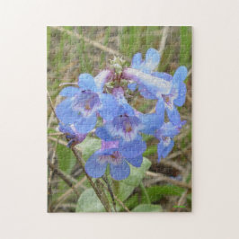Puzzle F3 Flores Silvestres Azules Slender Blue Beardtong