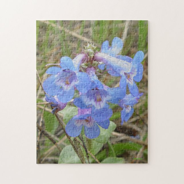 Puzzle F3 Flores Silvestres Azules Slender Blue Beardtong (Vertical)