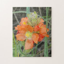 Puzzle F40 Flores silvestres naranjas Malva escarlata
