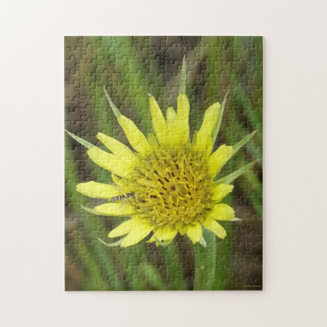 Puzzle F41 Flor Amarilla Silvestre Barba de Cabra (Vertical)