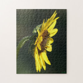 Puzzle F43 Flor Amarilla Silvestre Susana de Ojos Negros
