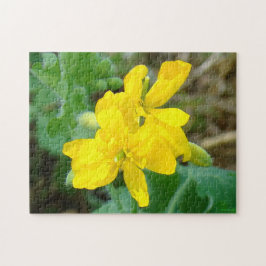 Puzzle F44 Flores silvestres amarillas Mostaza silvestre