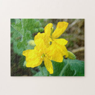 Puzzle F44 Flores silvestres amarillas Mostaza silvestre