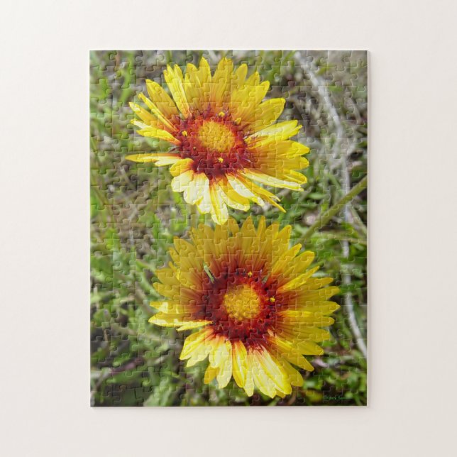 Puzzle F8 Flores Silvestres Amarillas Gaillardia (Vertical)