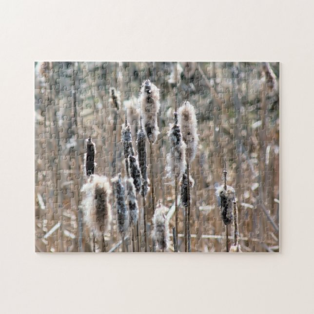 Puzzle Faded Fluffy Cattails En La Naturaleza De Primaver (Horizontal)
