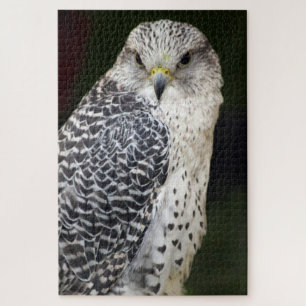 Puzzle Falcon
