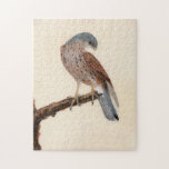 Puzzle Falcon Hen Kestrel | William Lewin<br><div class="desc">Falcon; Hen Kestrel (before 1790) | William Lewin’s Falcon; Hen Kestrel is a striking and detailed painting featuring a hen kestrel perched gracefully on a branch against a minimalist neutral background. The artwork captures the bird’s sleek form, sharp beak, and intricate plumage with exceptional precision. The simplicity of the composition...</div>