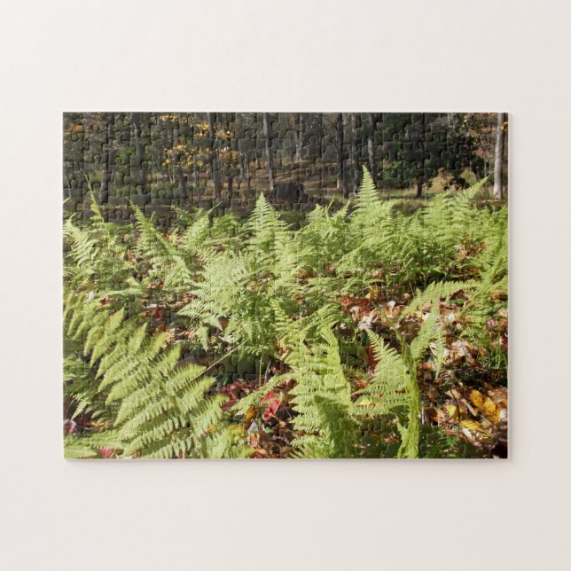 Puzzle Fall Ferns (Horizontal)