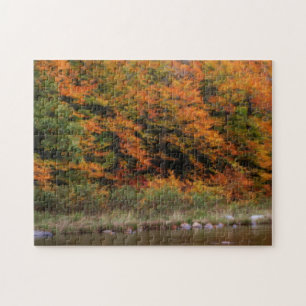 Puzzle Fall Foliage Borde el río