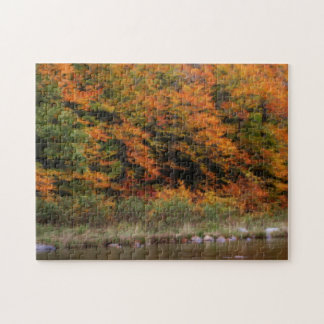 Puzzle Fall Foliage Borde el río