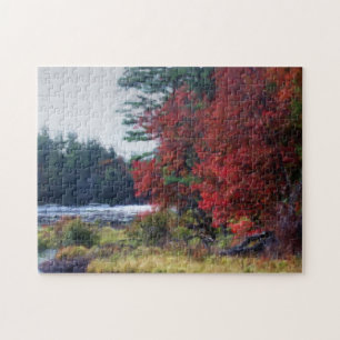 Puzzle Fall Foliage Pintando el arte de la naturaleza