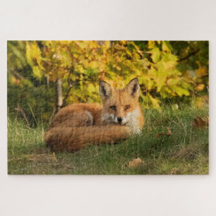 Puzzle Fall Fox
